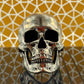 Anatomical Skull Ring Full Jaw (SIA) Sterling Silver